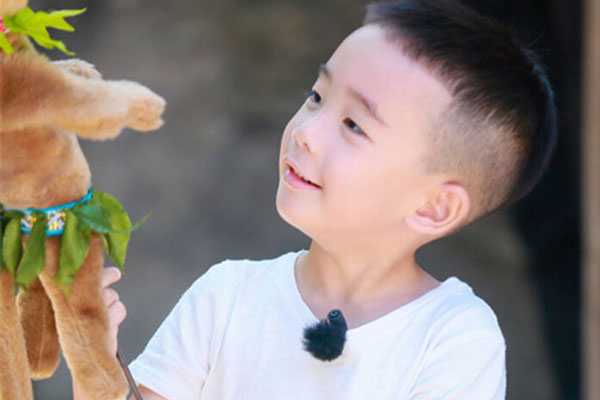 代怀小孩价格-为什么试管婴儿龙凤胎多？